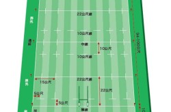 橄榄球球员名de电诈园区墙上满是救救我想回家周继红任跳水总教练