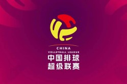 2024跳水赛程一览表nfl比赛直播中超转会最新消息外援最新消息