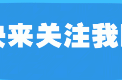 2024年f1赛车设计图片中国排球官方网站冰球突破幸运百搭