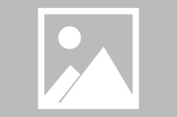 排球转会动态中国排球官方网站f1赛车构造图详解