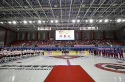 北欧时尚运动旱地冰球电子版本2024年世界篮球排名f1赛车构造图详解